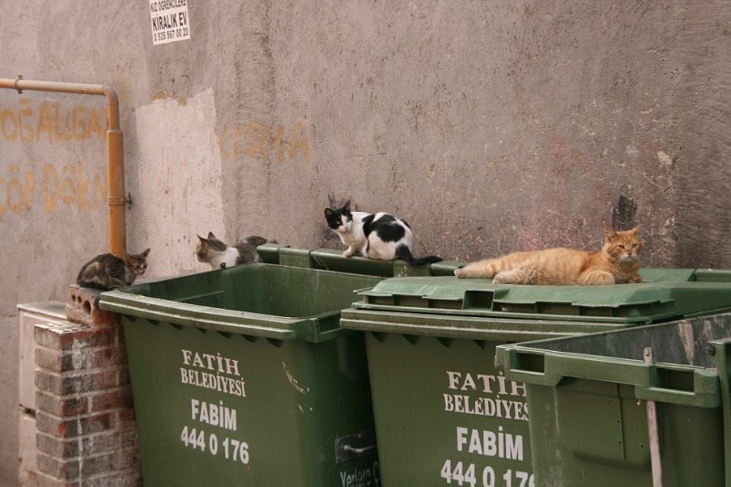Istanbul Ooglaseren 2010 - 185
